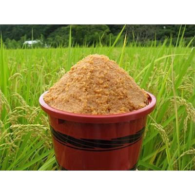 ふるさと納税 高山市 つやほまれ味噌450g×4個　朴葉みそ100g×1個 TR3848 |  | 03