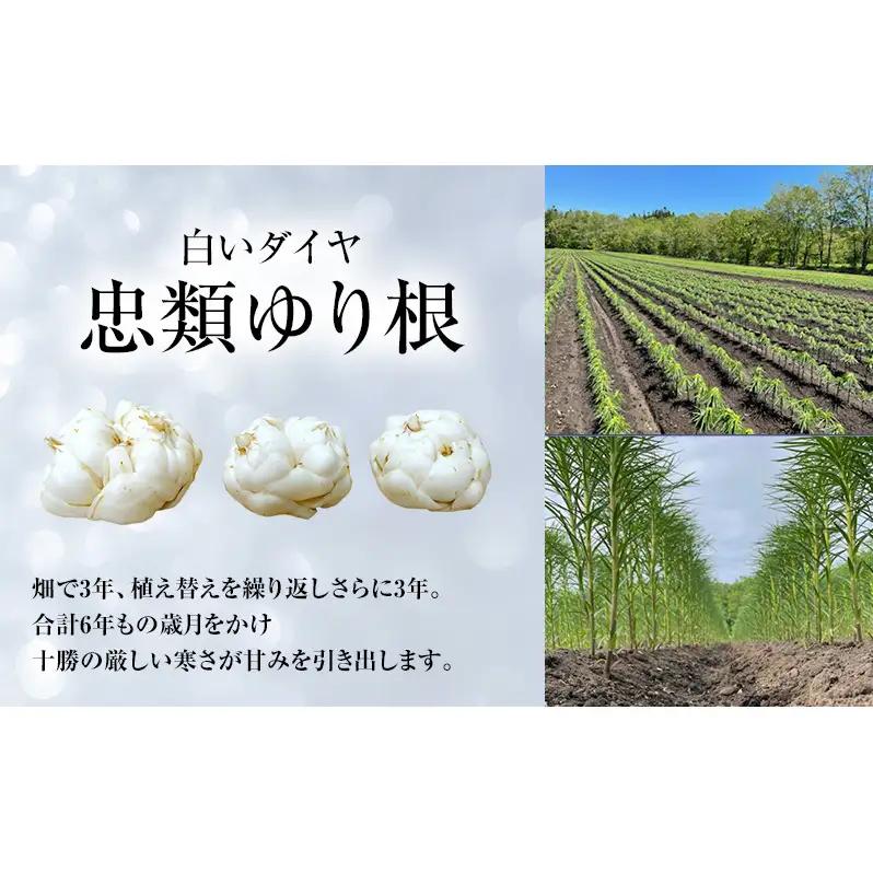 2026年10月発送 先行予約 十勝「忠類ゆり根」1kg (7～12玉) M～2L［JA忠類］【 ゆり根 百合根 高級食材 お正月 贈答 ギフト 根菜 冬の味覚 北海道 幕別 】
