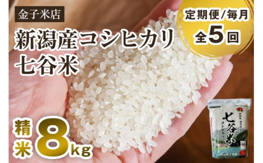 【令和7年産】【定期便5ヶ月毎月お届け】老舗米穀店が厳選 新潟県加茂市産コシヒカリ「七谷米」精米 8kg（2kg×4）《順次出荷》 従来品種 窒素ガス充填パックで鮮度長持ち 金子米店 お米 米 定期便