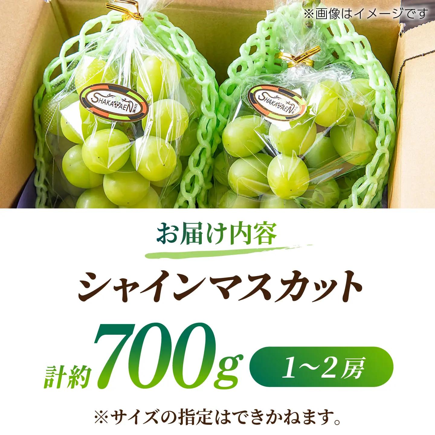 【訳あり】 シャインマスカット 約700g(1～2房)  マスカットフルーツ 果物 ぶどう【合同会社 社方園】[ZBZ027]