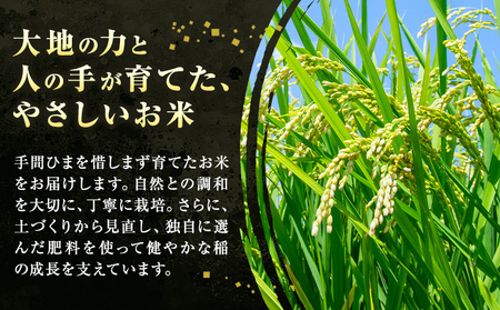 米 白米 コシヒカリ 5kg 令和7年産 都呂々みかん生産者グループ 精米