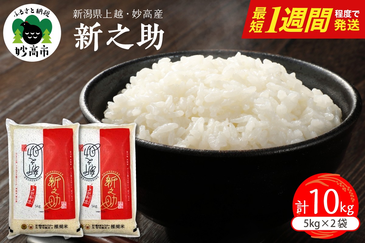 
                  最短1週間程度 発送 新之助 10kg 令和7年産 令和8年産 配送時期が選べる 新潟県 妙高 しんのすけ 米 白米 精米 お米 ごはん ライス
                