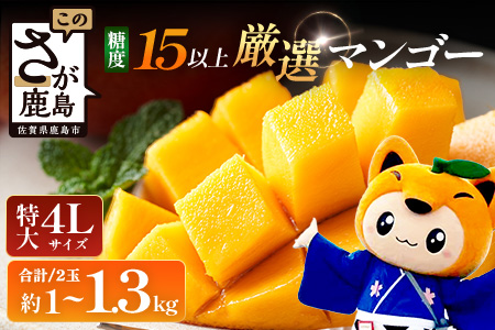D-125 厳選！濃厚完熟マンゴー 4Lサイズ（糖度15度以上）【2026年5月中旬頃から6月初旬発送】