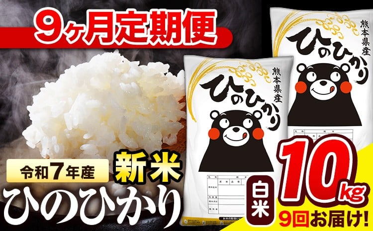 
            新米 令和7年産 白米 【9ヶ月定期便】 ひのひかり 10kg《お申込み翌月から出荷》 熊本県産 白米 精米 氷川町 ひの 送料無料 ヒノヒカリ コメ 便利 ブランド米 お米 おこめ 熊本
          