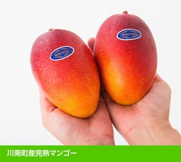 【令和7年発送】宮崎県産完熟マンゴー「果実の宝石」　4L×2玉 【 果物 フルーツ マンゴー 宮崎県産 みやざきマンゴー 先行予約 数量限定 期間限定 】[D03706]
