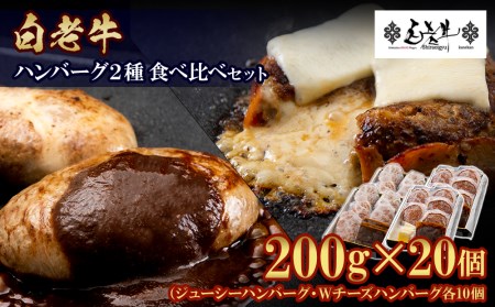 白老牛 2種 食べ比べ ハンバーグ セット 合計20個 BY084