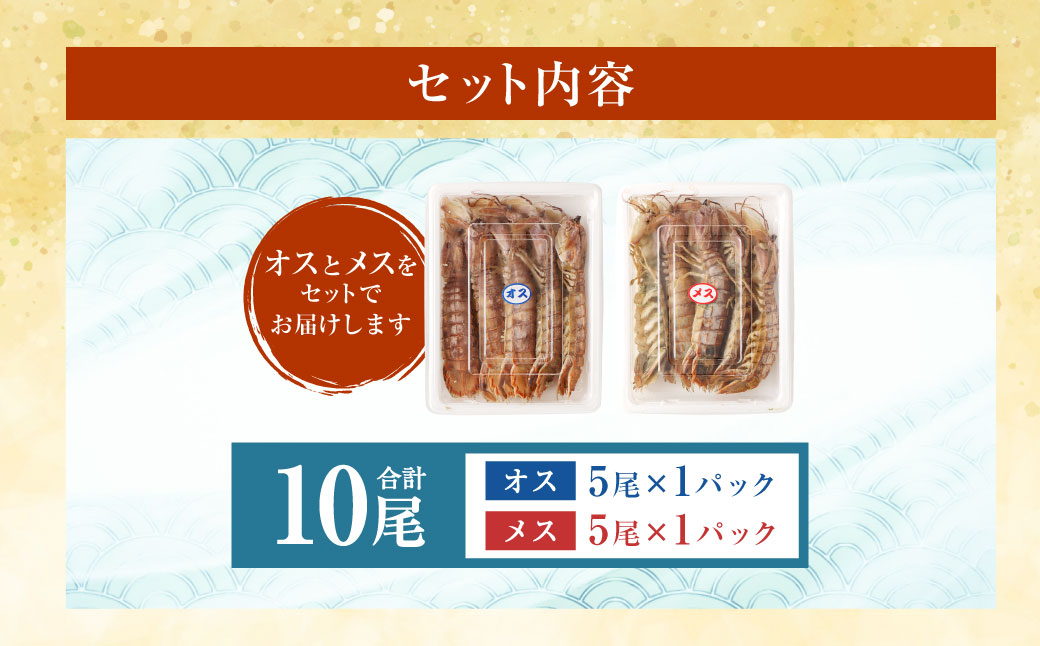 ボイル しゃこ オス・メス 合計10尾 （各5尾）