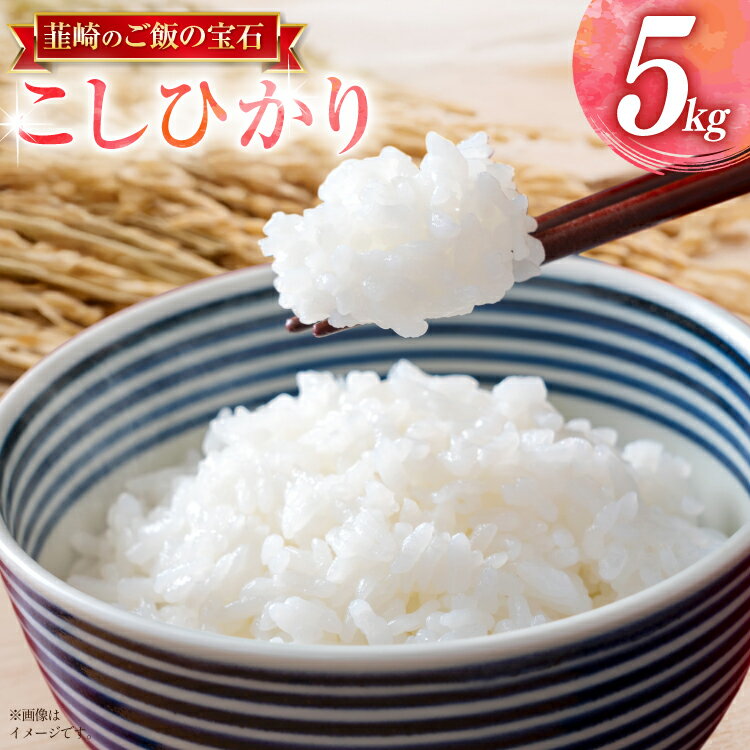 【ふるさと納税】 令和8年 先行予約 武川米コシヒカリ 5kg お米 米 こめ こしひかり 白米 kome 8年産 5キロ 精米 山梨県 送料無料 ライス ブランド米 コメ 人気 [駒井農園 山梨県 韮崎市 20745372]