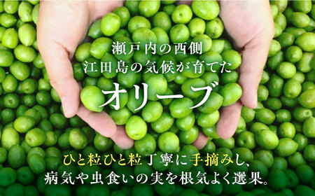 希少な国産オイル！オリーブ塩水漬けセット マンザニロ種＆ミッション種 各2個（パウチタイプ） ギフト オリーブ  塩漬け サラダ 簡単 レシピ 広島県産 江田島市/瀬戸内いとなみ舎合同会社[XBB01