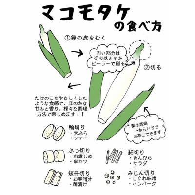 ふるさと納税 出雲市 出雲國マコモタケ(生) 1kg 出雲市産【1_1-049】 |  | 02