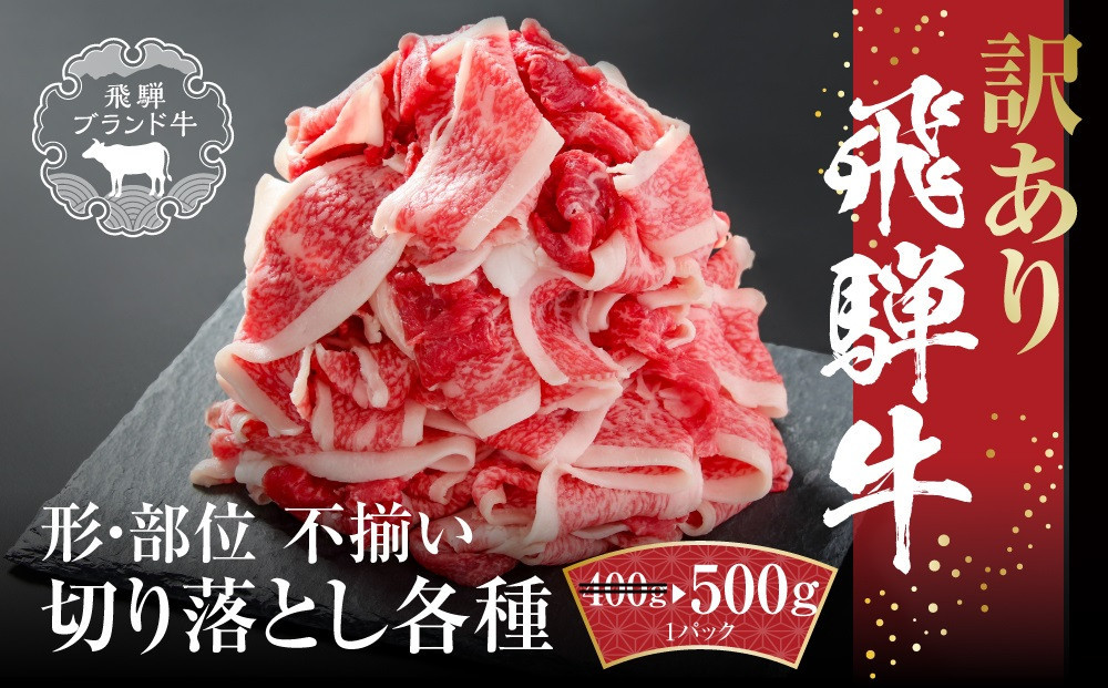 
            訳あり 飛騨牛 切落とし 500g 冷凍真空パック | 肉 お肉 切り落とし 薄切り すき焼き すきやき 黒毛和牛 和牛 人気 おすすめ 牛肉  飛騨高山ミート MZ011VP
          