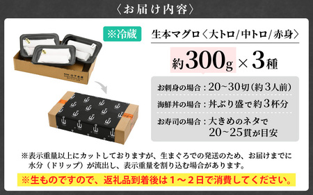 まぐろの王様！生本マグロ！まぐろ三昧セット合計900g（赤身・中トロ・大トロ各約300g） [e04-e005] 本まぐろ 本マグロ まぐろ マグロ 鮪