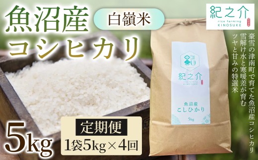 【令和8年産 先行予約】【4ヶ月定期便】魚沼産コシヒカリ 白嶺米 5kg(5kg×1袋) | 新潟産コシヒカリ 新潟県産コシヒカリ 魚沼産こしひかり 米 お米 こしひかり 白米 精米 ブランド米 津南町 株式会社紀之介