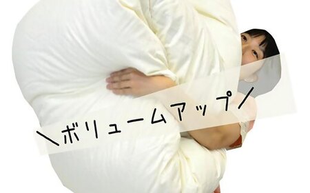 【20-10】ザ・羽毛布団 エクセルゴールドラベル キング 230×210cmイングランド産ホワイトダックダウン90％ 日本羽毛製品共同組合品質推奨ラベル付き 羽毛 掛け布団 ツインキルト【251-0