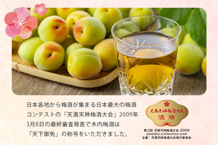 木内梅酒 3本セット 500ml×3本 梅酒
