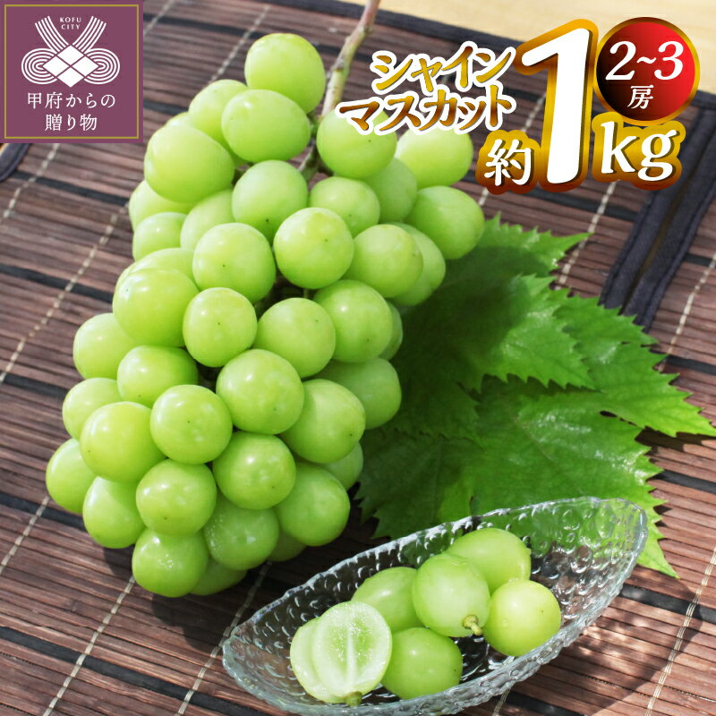 【ふるさと納税】 シャインマスカット 約1.0kg（2～3房） ぶどう フルーツ 果物 旬 甲府市産 こだわり 産地直送 冷蔵 数量限定 期間限定 2025年8月中旬～10月中旬順次発送 k346-007