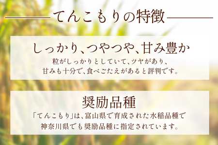 [2025年10月下旬頃から発送] 米 10kg(5kg×2袋) 農家直送！自家製 てんこもり｜先行予約 お米 おこめ コメ 白米 神奈川 伊勢原 [0527]