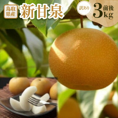 【ふるさと納税】訳あり　新甘泉(しんかんせん)　3kg前後【配送不可地域：離島・北海道・沖縄県】【1733720】