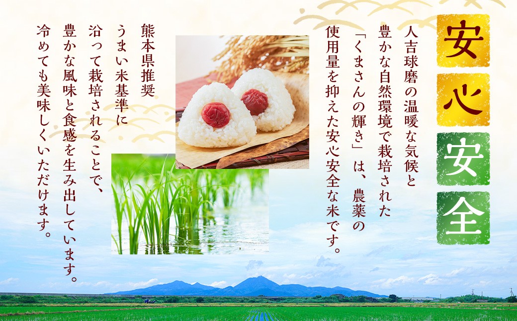【令和7年産】熊本県球磨地域産 くまさんの輝き 10kg