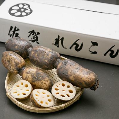 ふるさと納税 江北町 【地元江北町産】 泥付き蓮根 3kg |  | 02