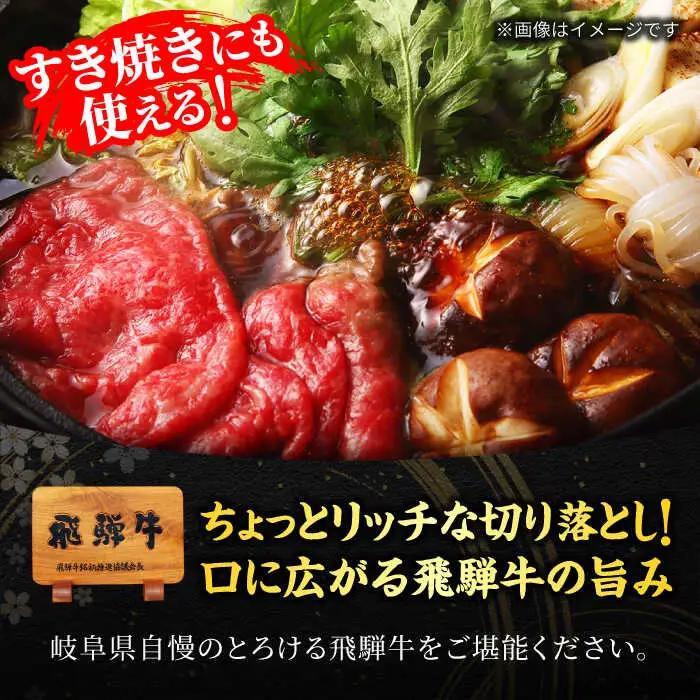 飛騨牛 切り落とし500g(250g×2) A5飛騨牛【マルゴー】[MBE002]