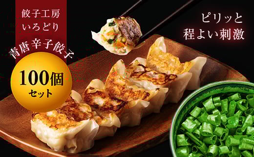 
            青唐辛子餃子100個セット 冷凍 焼餃子 水餃子 中華 ぎょうざ ギョーザ お弁当 おかず F4H-0223
          
