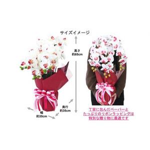 造花 シルクフラワーの胡蝶蘭の鉢植 3本立 CT触媒 ホワイトオーキッド ／ お花 コチョウラン 埼玉県
