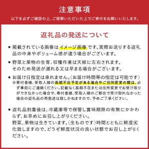 江刺りんごと岩手県産野菜セット【12月お届け】離島配送不可 [AQ017]