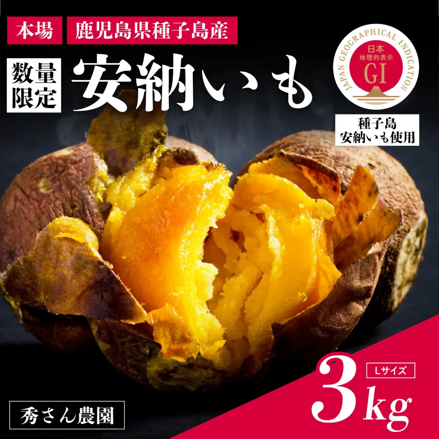 【先行予約】種子島 安納いも 3kg（Lサイズ：300g～400g）（秀さん農園）さつまいも 本場 安納芋 安納紅 安納こがね さつま芋 甘い ねっとり スイーツ おやつ グルメ お取り寄せ 人気 種子島産 返礼品 南種子町 鹿児島【南種子町観光物産館 トンミー市場】
