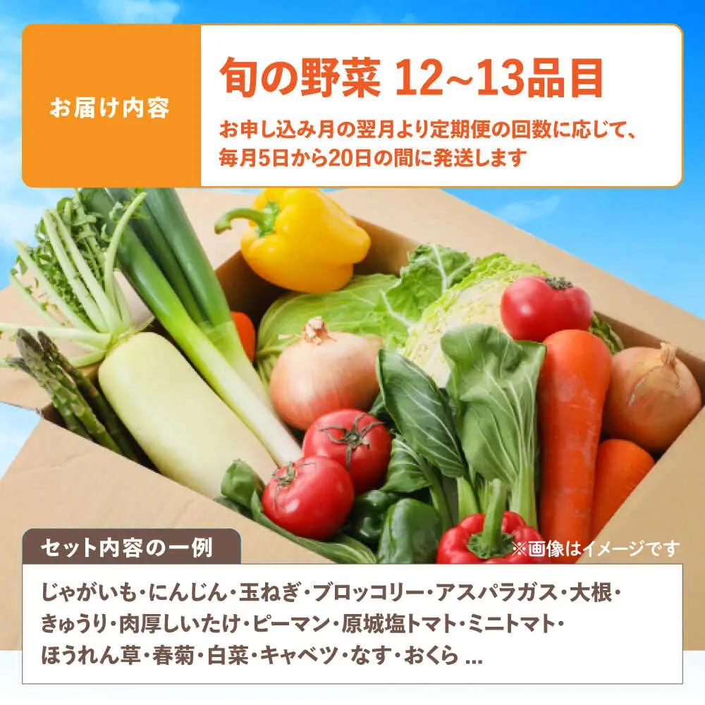野菜のプロが選ぶ 旬の野菜セット 12?13品目 野菜定期便 / 野菜 やさい セット 新鮮 / 南島原市 / 愛2農園[SGG005]