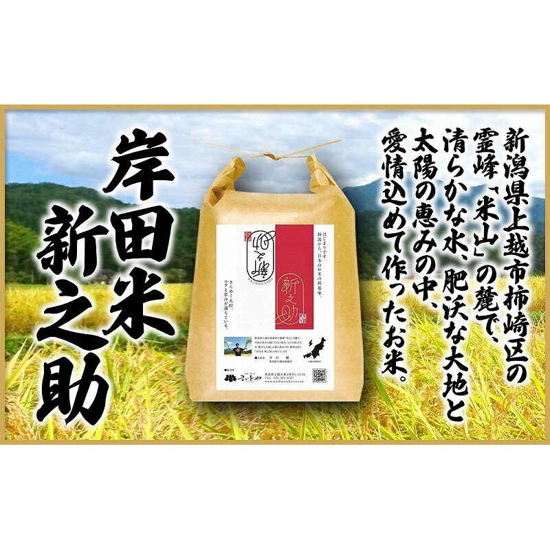 【ふるさと納税】米 上越市柿崎区産 新之助 5kg お米 コメ おこめ 新潟 新潟県産 にいがた 上越 上越産 新潟の酒と米 まいどや　熨斗対応 ギフト プレゼント 秋 贈答　お届け：準備でき次第、順次発送 ※発送直前に精米し、お届け致します。