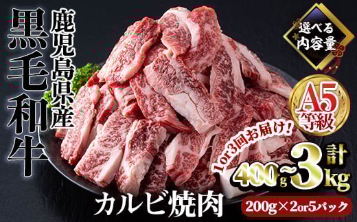 
            ＜配送回数・内容量が選べる＞A5等級鹿児島県産黒毛和牛カルビ焼肉(計400g～3kg / 定期便全3回 200g×2パック or 200g×5パック) カルビ 焼肉 黒毛和牛【カミチク】A491
          