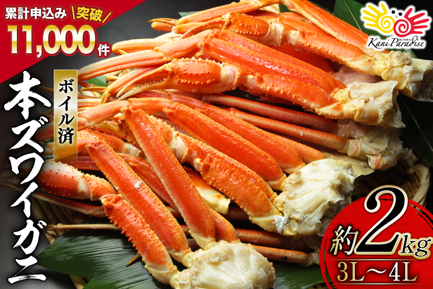 ボイル済み 本ずわいがに 脚 3L～4L 総重量 2kg [カネダイ 宮城県 気仙沼市 20564764] カニ 蟹 ズワイガニ ずわい蟹 ズワイ蟹 ずわい ズワイ 海鮮 魚介類 カニ脚 蟹脚 足 ボイル ご褒美