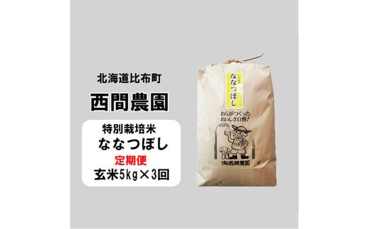 
										
										新米先行予約【2024年産】西間農園 ななつぼし特栽米 みがき玄米5㎏ 3か月定期便
									