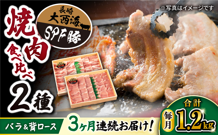 【3回 定期便 】 焼肉 豚 大西海 SPF豚 背ロース ＆ バラ （ 焼肉 用）計1.2kg（各600g）訳あり ＜大西海ファーム＞ [CEK044] 焼肉 焼肉 肉 食品 肉類 国産 豚肉 食べ比べ こだわり セット 甘み 旨み 豚バラ バラ肉 豚ロース 贈答 ギフト SPF豚  訳あり