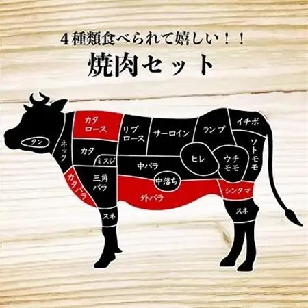 十勝姫焼肉セット 1kg (肩ロース200g・味付ブリスケ200g・カルビ300g・シンタマ300g)_肉 焼肉 牛肉 やきにく ヤキニク バーベキュー  肉 黒毛和牛 牛肉 _【配送不可地域：離島】