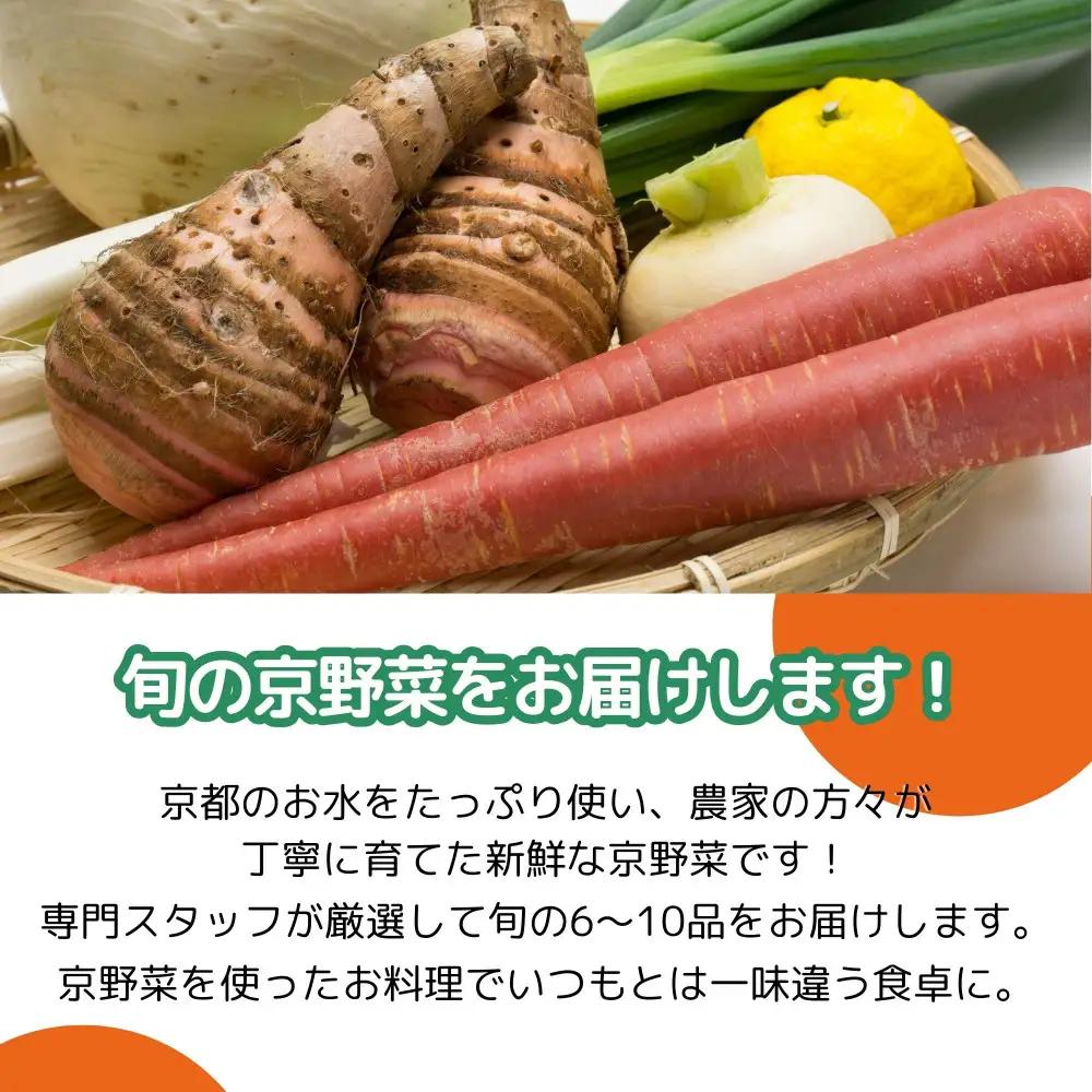 【エーコープ京都中央】おまかせ京野菜セット｜野菜 新鮮 人気 スタッフ厳選 詰め合わせ