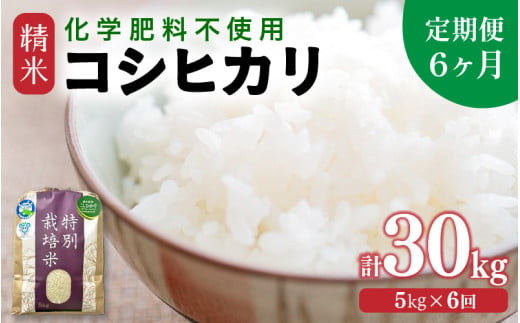 【先行予約】【令和8年産】【定期便6回】 化学肥料不使用コシヒカリ 精米 5kg×6回 （計30kg）/ 白米 米 福井県あわら市産 美味しい 特別栽培米 減農薬 安心な米 旨味 甘み もっちり エコファーマー こしひかり 冷蔵保管米 ※2026年10月上旬以降発送予定 [aw010-f021]