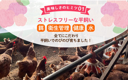 飼い方にこだわり餌にこだわった「姫様のたまご」 20個 たまご 姫様のたまご たまご たまご こだわりたまご たまご　[AKET007]