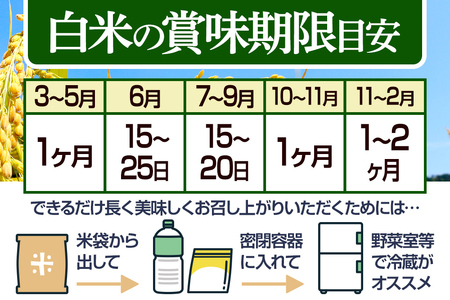 【白米】＜令和6年産 新米予約＞ 《定期便5ヶ月》秋田県産 あきたこまち 20kg (5kg×4袋)×5回 20キロ お米【2024年秋 収穫後に順次発送開始】