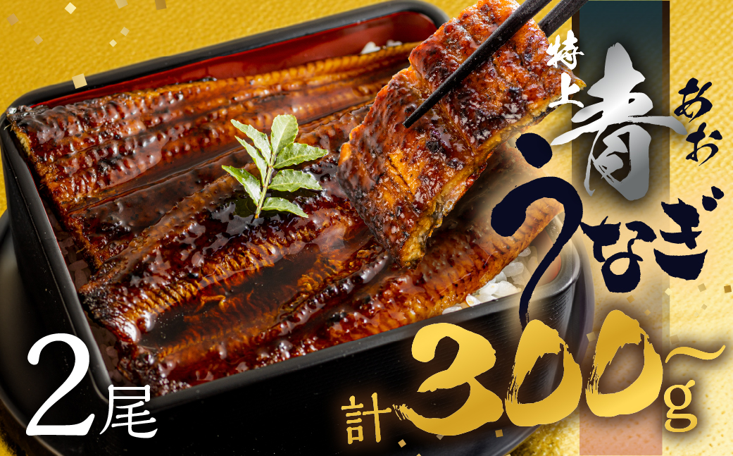 【土用の丑の日お届け/冷凍】厳選 高級 青うなぎ 2尾 蒲焼 300g