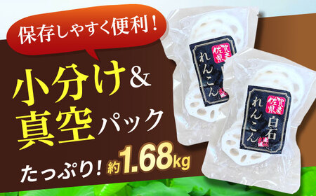 【お手軽調理！】白石町産 水煮れんこん 約120g×14袋（カット有り／真空パック） /新鮮なれんこんを産地直送！ れんこん 佐賀 白石れんこん 真空パックれんこん 水煮れんこん おでん きんぴら 煮