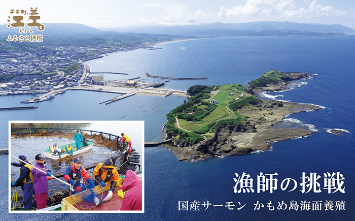 北海道産 スモークサーモンと切り身セット 2箱 ［スモーク100g（50g×2P）&切り身60g×3切れ（個包装）／化粧箱］×2　　王子サーモン　北海道江差産トラウトサーモン　純国産ブランドサーモン『