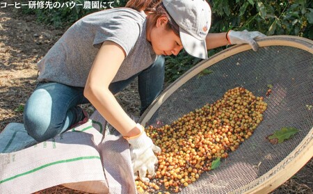 【VIVA LA COFFEE】ふるさと納税　ブレンドセット（豆・各300g）