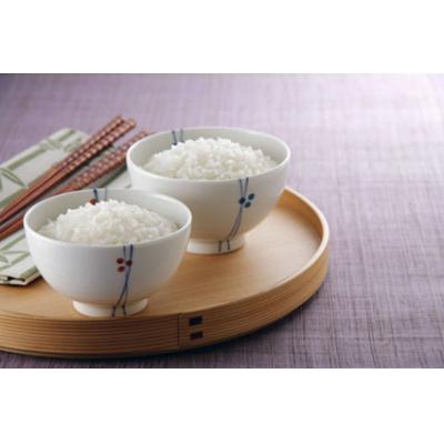 ふるさと納税 焼津市 【定期便3回】パパッとライス こしひかり 2ヶ月に1回お届け(a51-005) |  | 03