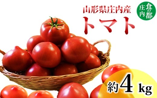 食の都庄内　庄内産とまと約4kg　※6月上旬頃より順次発送予定