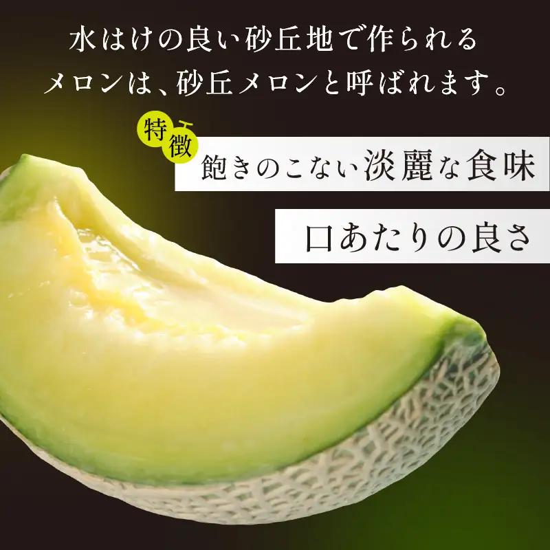 メロン／砂丘メロン 2L以上 1玉