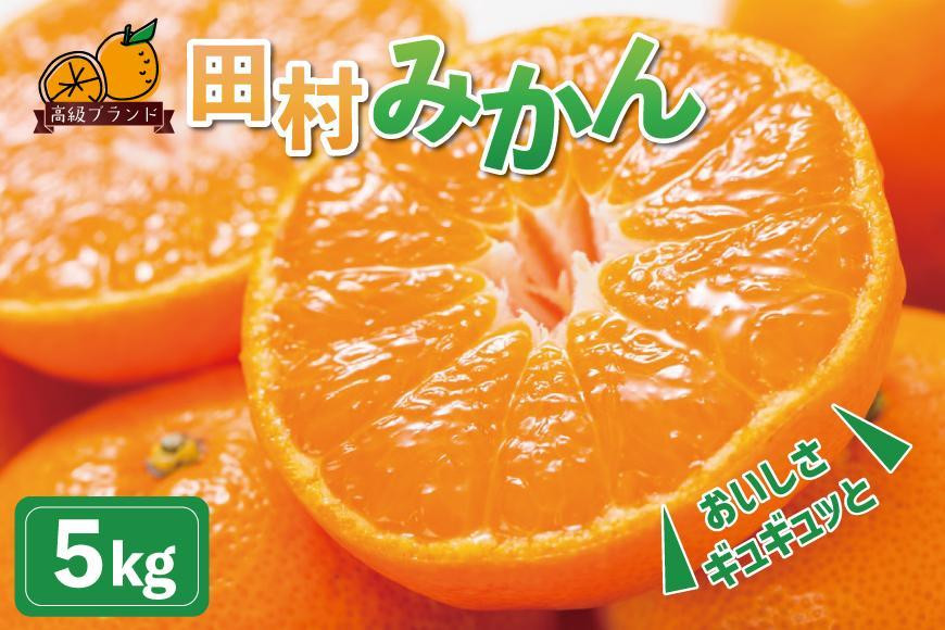 
            高級ブランド田村みかん　5kg【2025年11月下旬以降発送】【先行予約】【UT14】
          