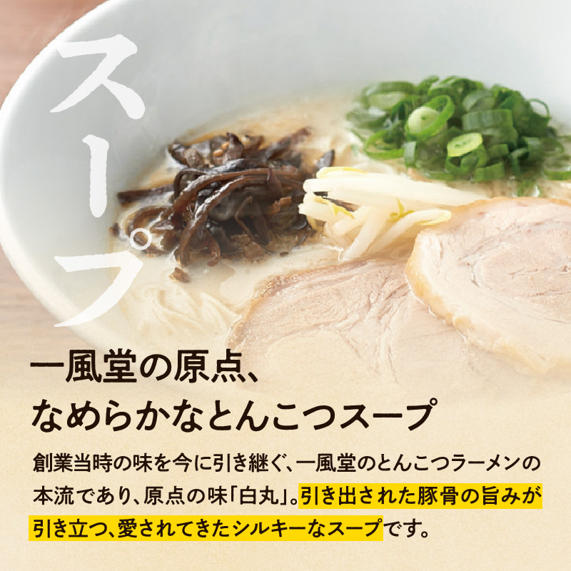 一風堂白丸ラー麦麺セット（22食）  ラーメン とんこつ 豚骨 豚骨スープ ストレート麺 ラー麦 本格 福岡 ご当地 お取り寄せ