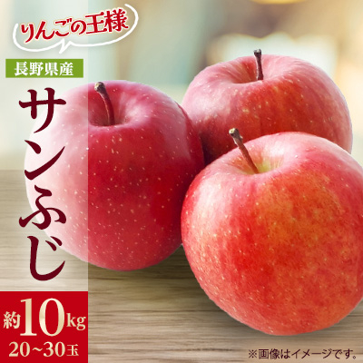 りんごの王様　長野県産 りんご　サンふじ　約10kg(20～30玉程度)【配送不可地域：離島】【1541947】